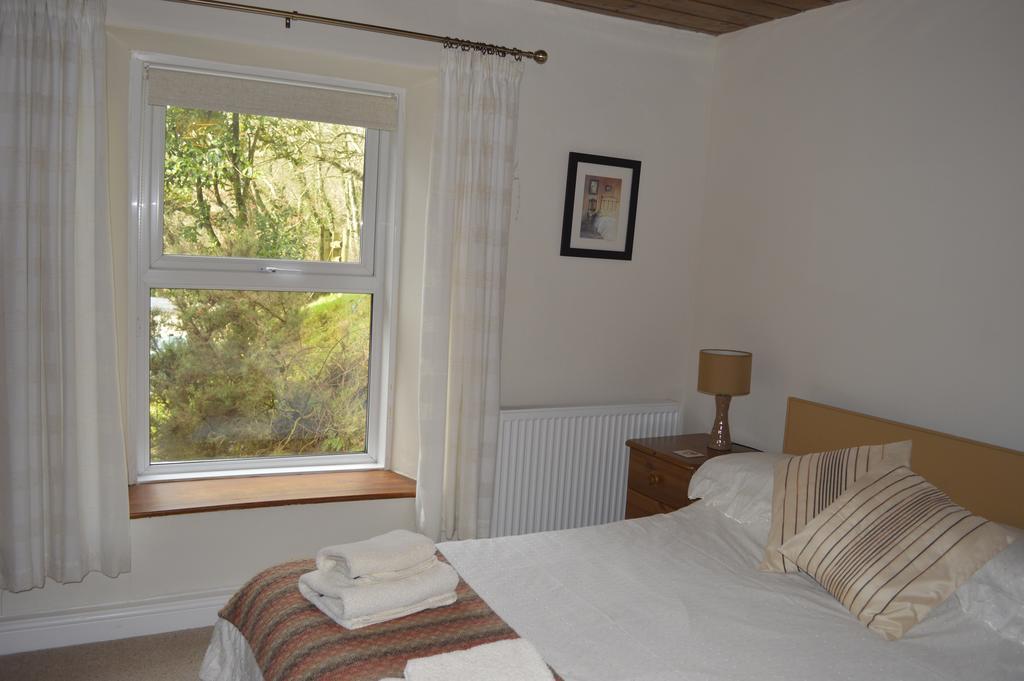 Troedyrhiw Bed & Breakfast Cardigan Room photo